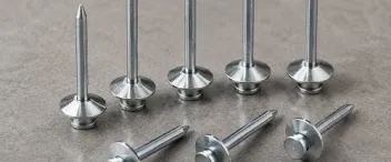 Fixador